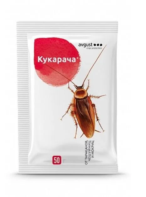 ж кукарача