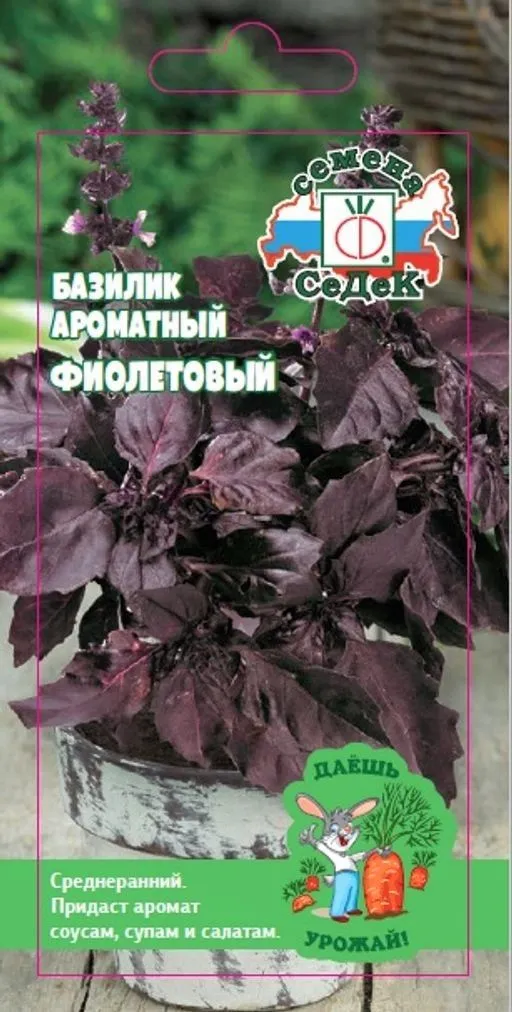 13 ДУ базилик Фиолетовый (Евро, 0,2)