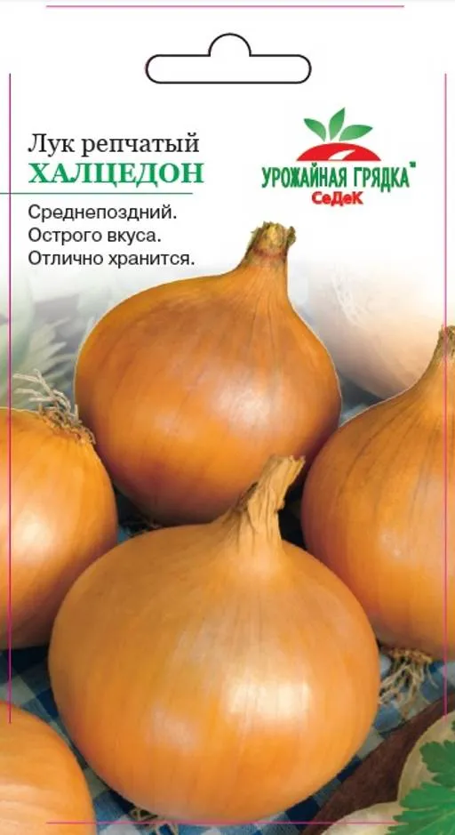 dc852cce61e0ab5cd000c850446c4e8c14ix117njk06a5qcd
