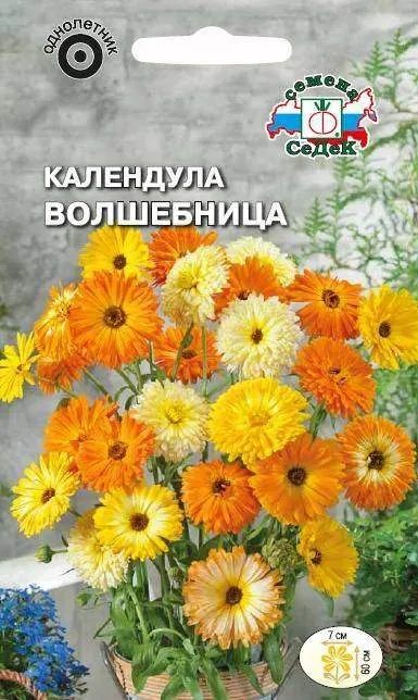 1аааав календула волшебница