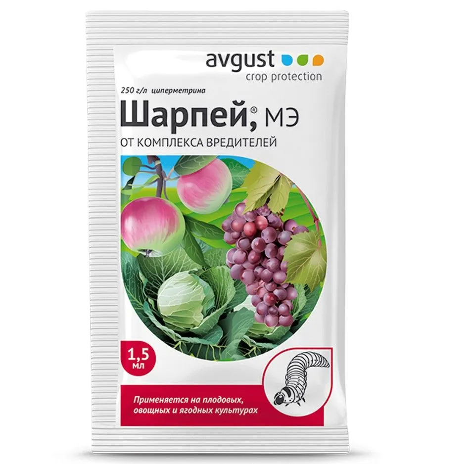 к шарпей