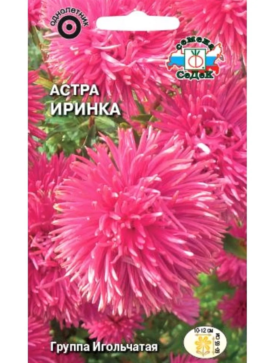 Седек Астра Иринка (игольчатая, ярко-розовая) (Евро, 0,2)