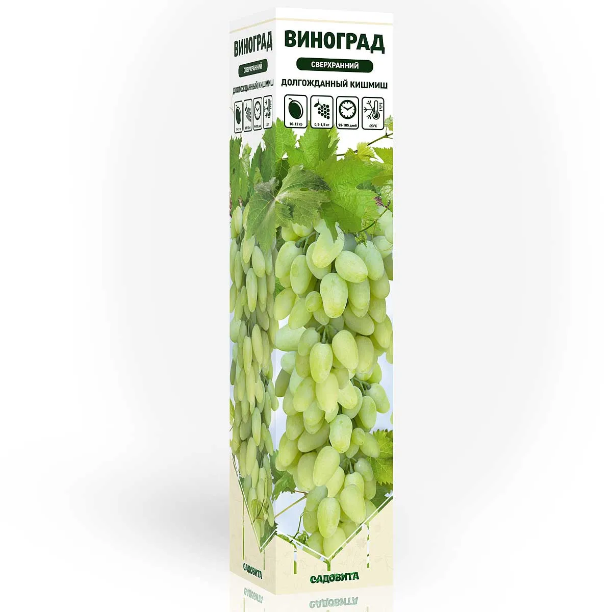 8sghvrhk3c34a3qomxvlj2xcxl4smyc2