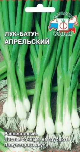 500x500.3bd5f55d06c93aee