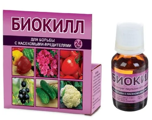 797cb2aacb0dbd9ec978a8b57d4dcb05