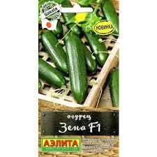 images (14)