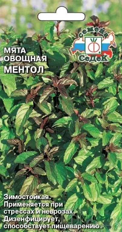 Седек мята Ментол