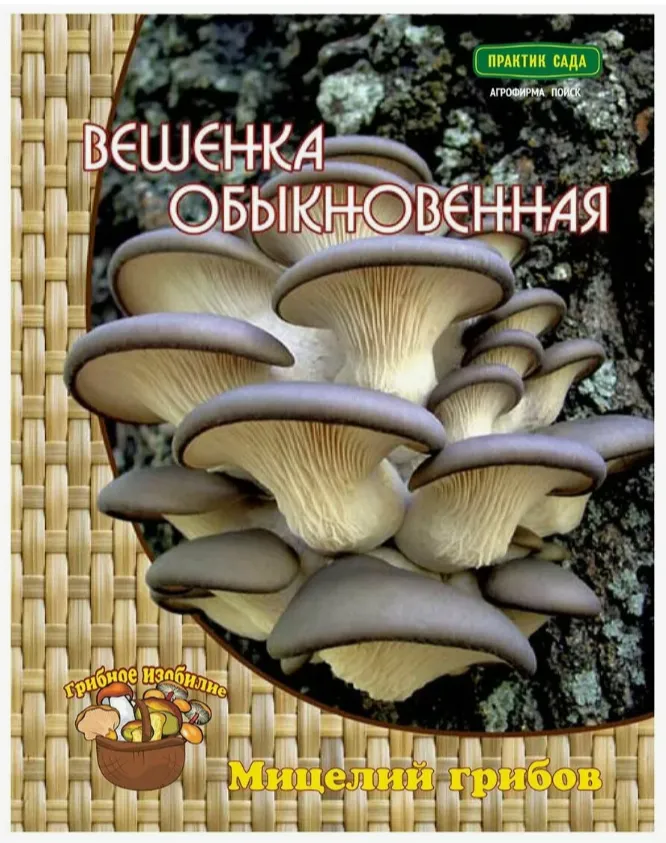 2024-03-12_08-49-05