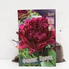 Без названия (3)