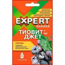 Без названия (2)