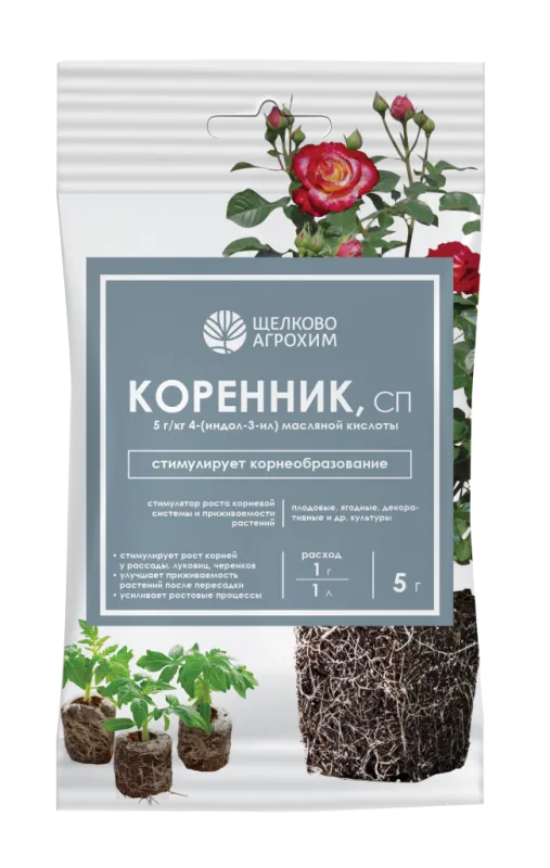 korennik_sp_paket_5_g_5_g