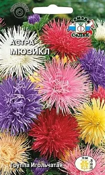 Седек Астра Мюзикл (игольльчатая, низкорослая смесь) (Евро, 0,2)