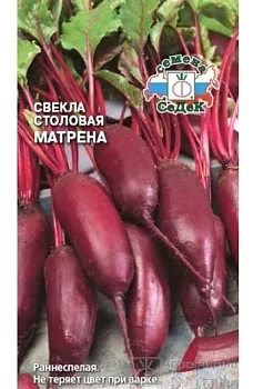 Седек свекла Матрёна (столовая) (Евро, 3)