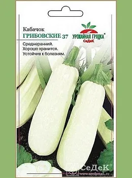 Седек кабачок Грибовский 37 (Евро, 2)