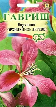 Баухиния Орхидейное дерево *3шт Гавриш