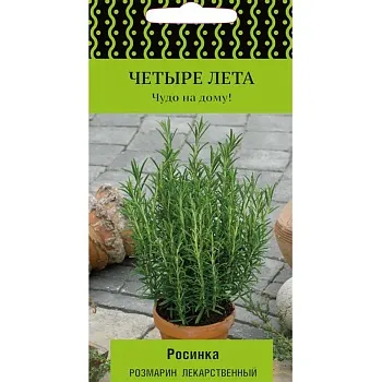 П/розмарин Росинка *10шт Четыре лета