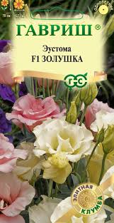 images (14)