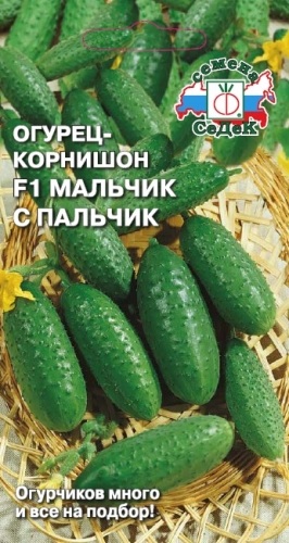c19ddb731694d9fc8f263df547b02824