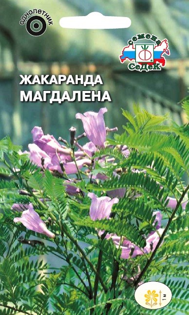 Седек Жакаранда Магдалена (мимозолистная) (Евро, 0,1)