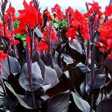 images (32)