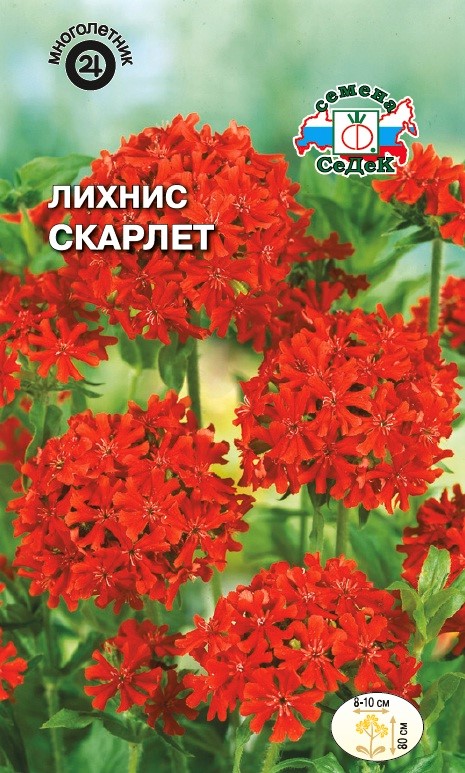 Седек Лихнис Скарлет (халцедонский, красный) (Евро, 0,25)