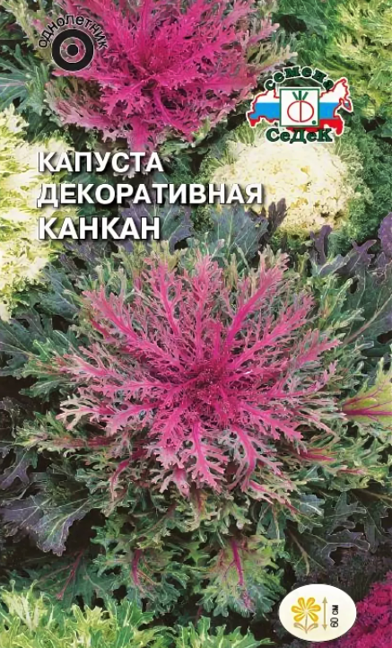 1ааааб капуста канкан