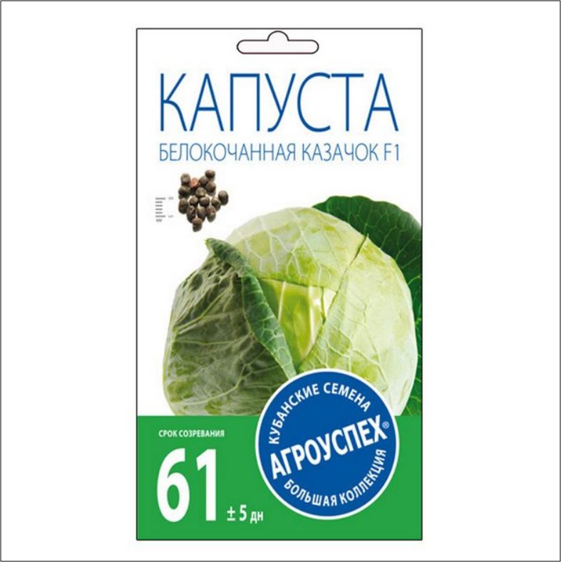 80 Л капуста б к Казачок ранняя