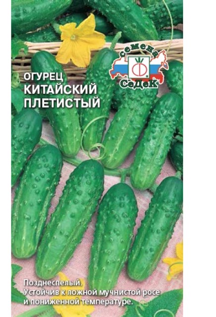 Седек огурец Китайский Плетистый (Евро, 0,5)