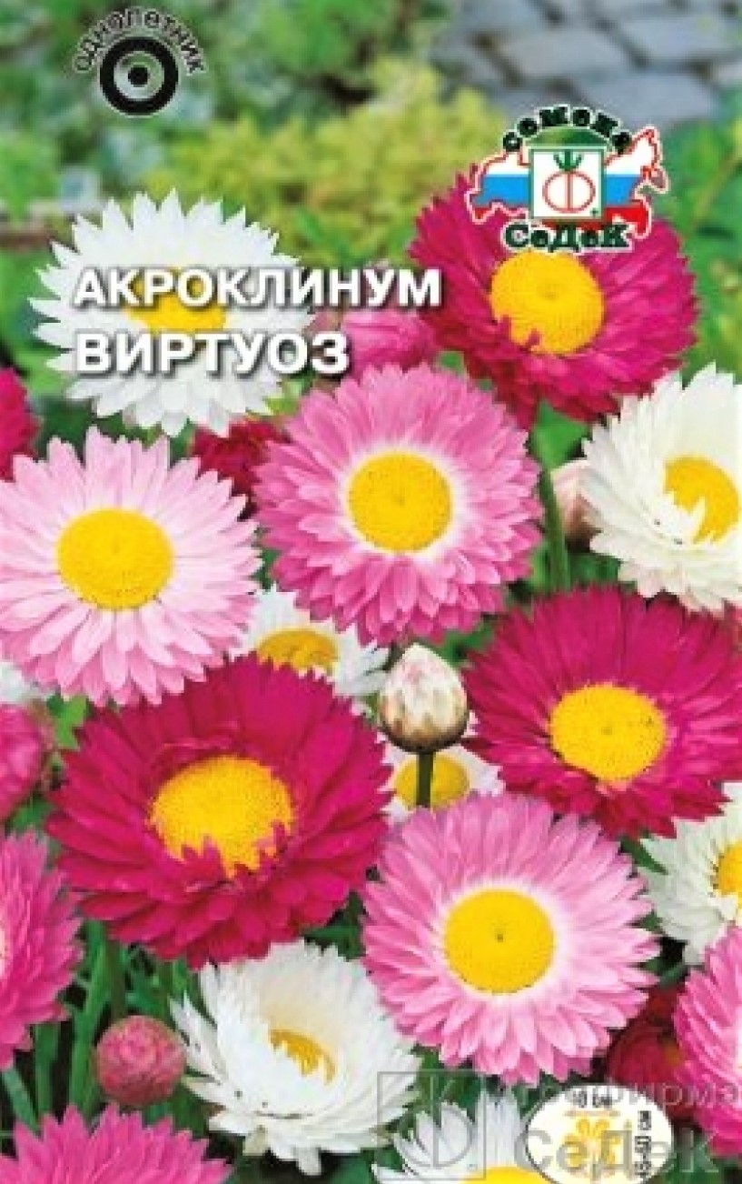 Седек Акроклинум Виртуоз (смесь цветов) (Евро, 0,1)