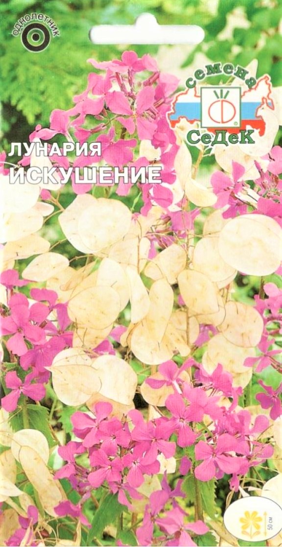 Седек Лунария Искушение (Евро, 0,1)