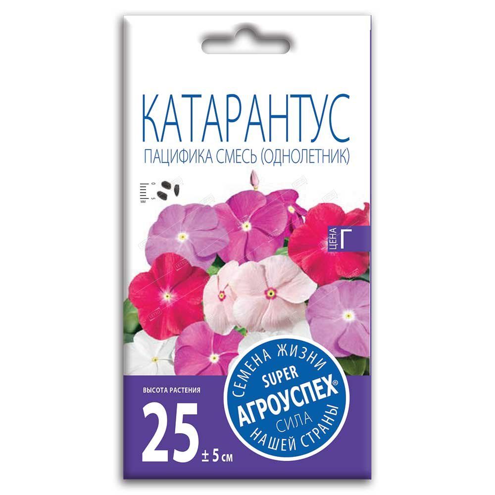 lts_katarantus_patsifika_smes_o_7sht_500