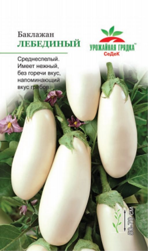 УГ баклажан Лебединый (Евро, 0,3)