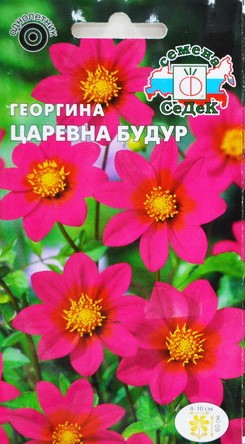 Царевна
