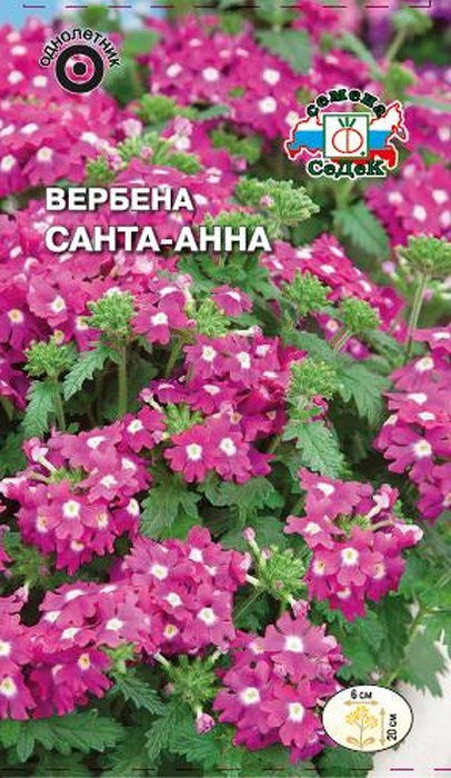 Седек Вербена Санта-Анна (розовая)