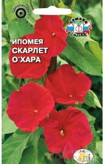 Седек Ипомея Скарлет О Хара  (вид нил, алая) (Евро, 0,5)