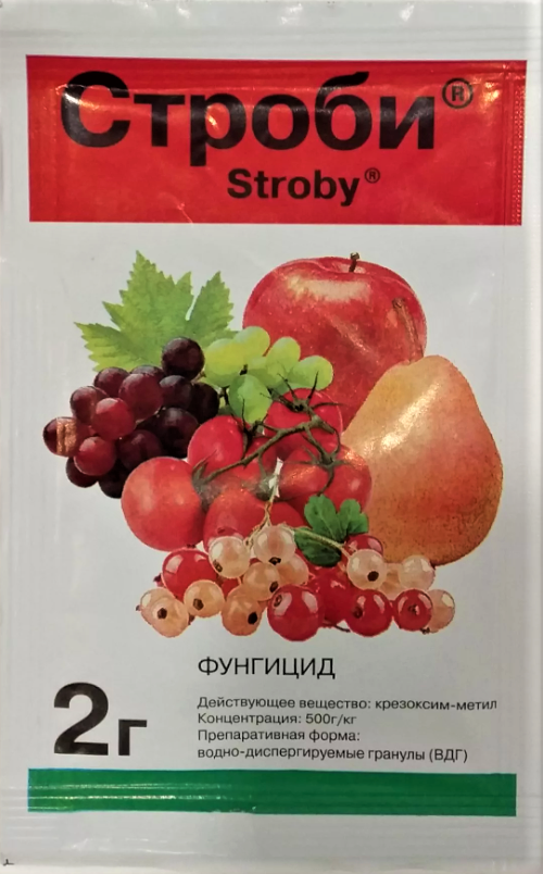 и строби