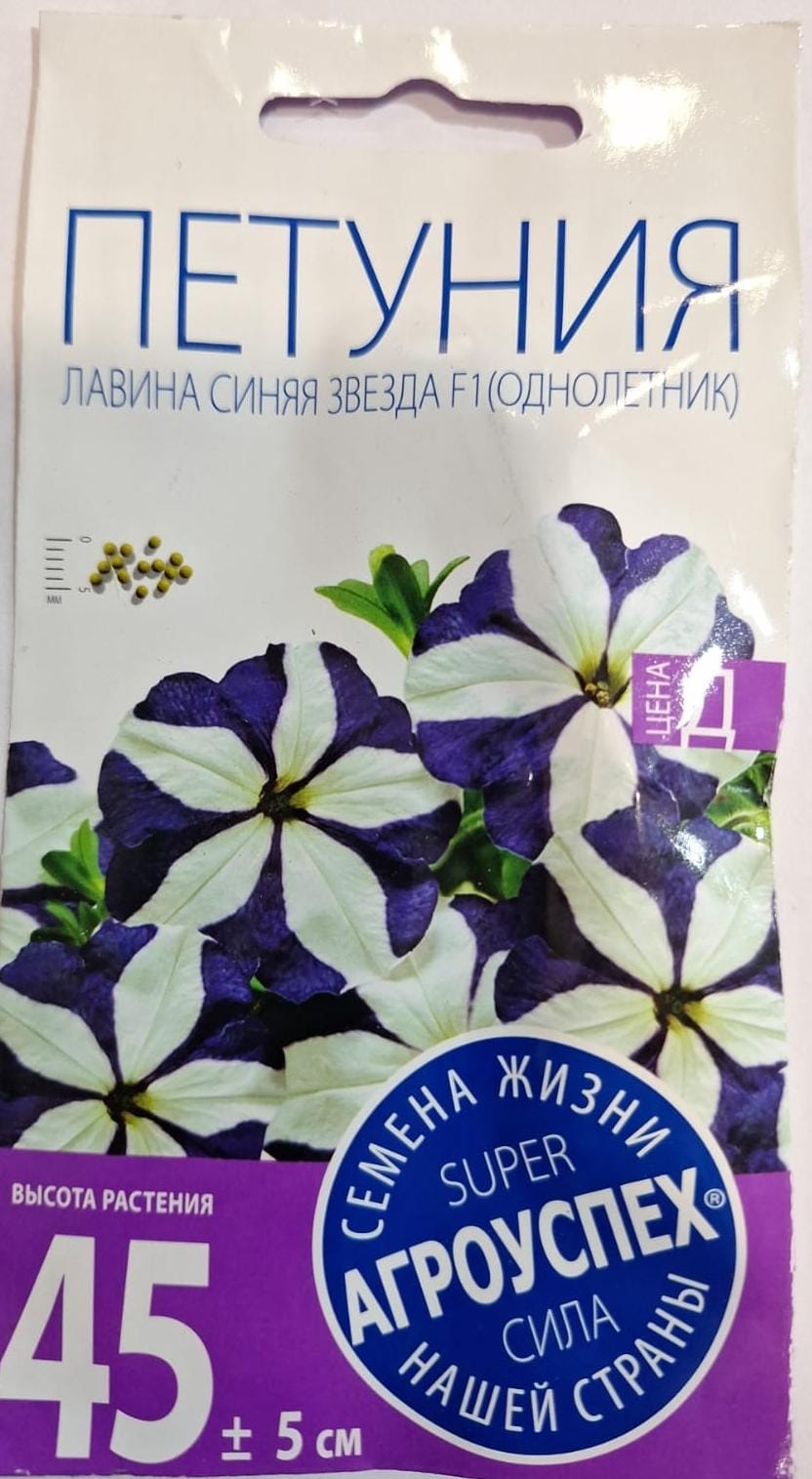 WhatsApp Image 2025-02-01 at 14.03.04