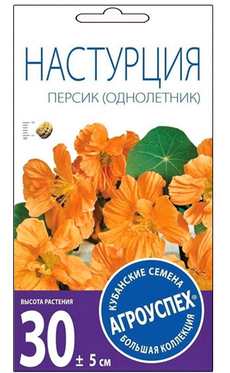 ж настурция персик