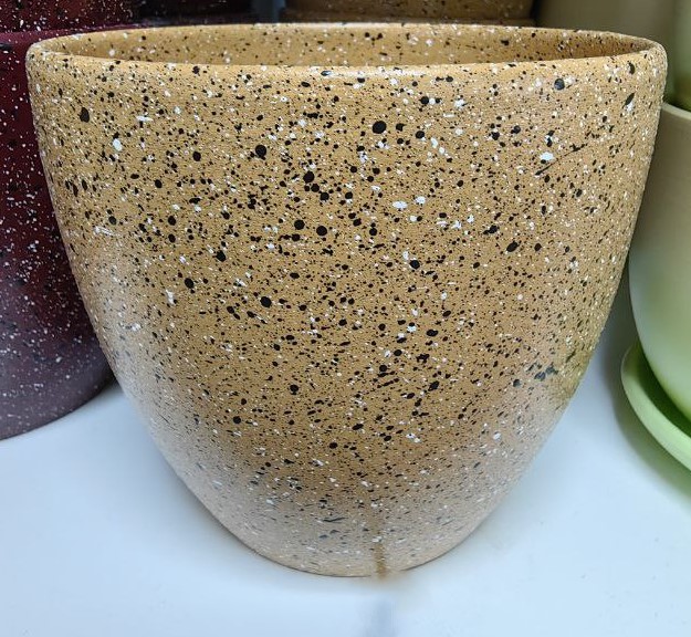 photo1701330451 (3)