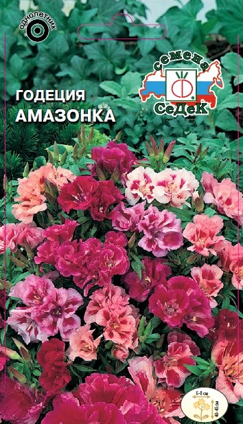 Седек Годеция Амазонка
