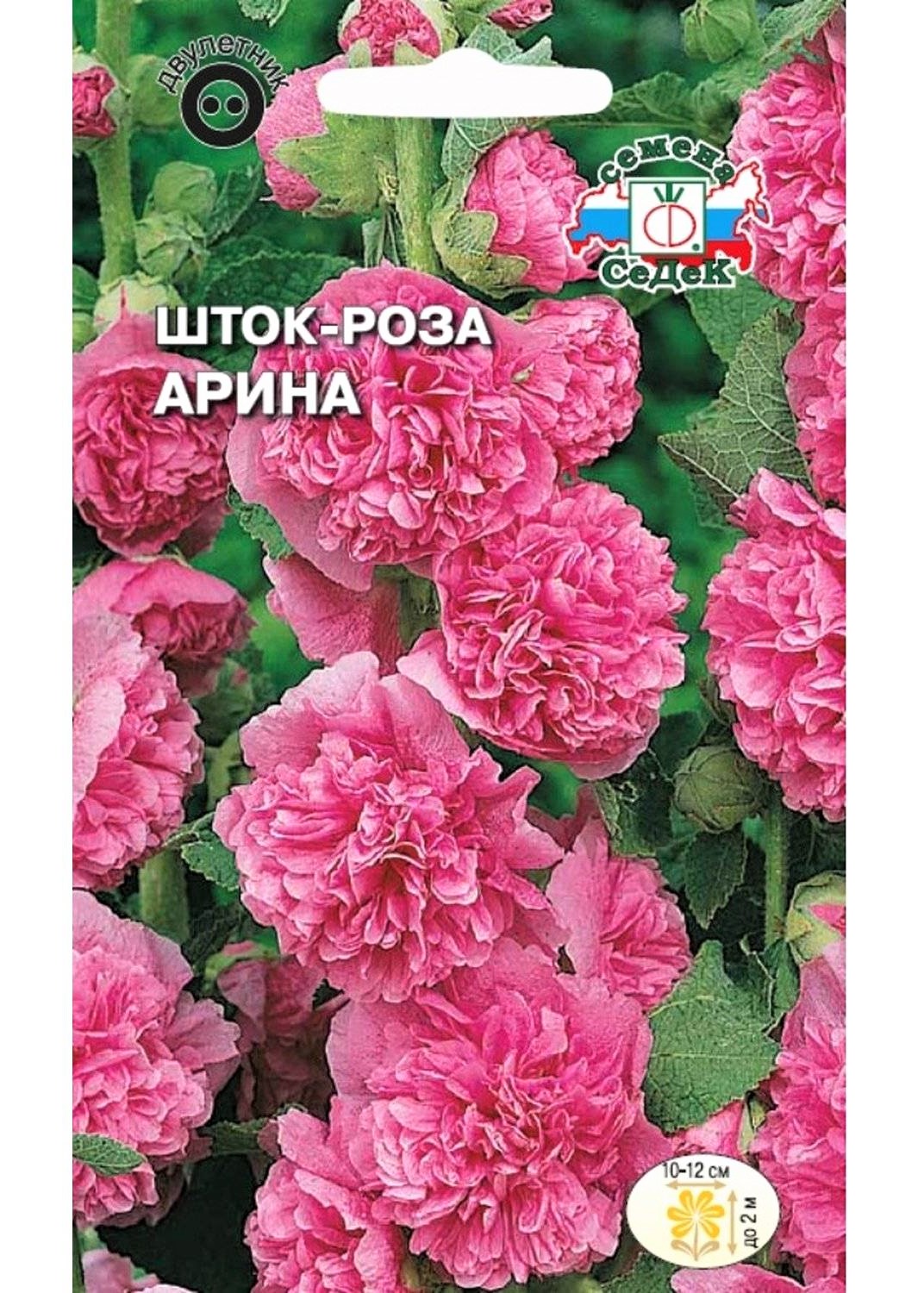 0000017294031_shtok-roza-malva-arina-sedek-eko-plast