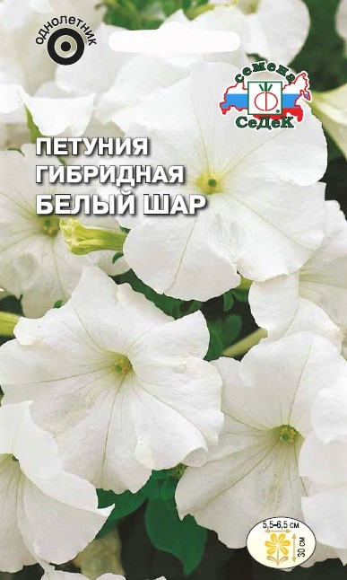 Седек Петуния Белый шар F1 (компактная, белая) (Евро, 0,1)