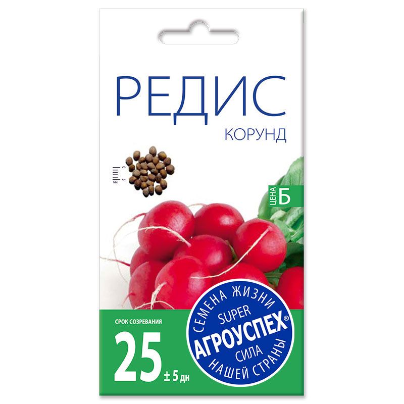 11 Л редис Корунд ранний
