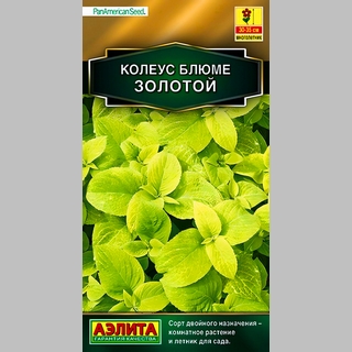full_koleus-blyume-zolotoj