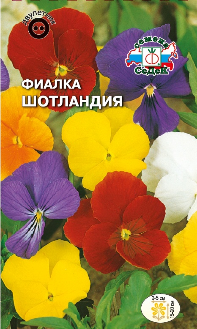 100Седек Фиалка Шотландия (рогатая, смесь цветов) (Евро, 0,05)