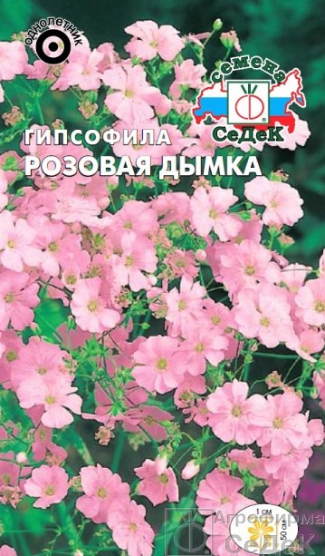 седек гипсофила Р