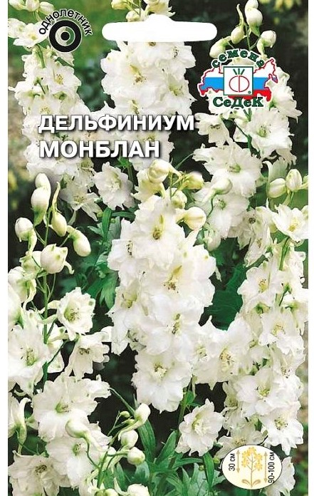 Седек Дельфиниум Монблан