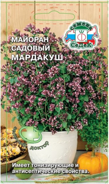 ce88154d-509b-488d-bd87-b169d9da66fd-imageid