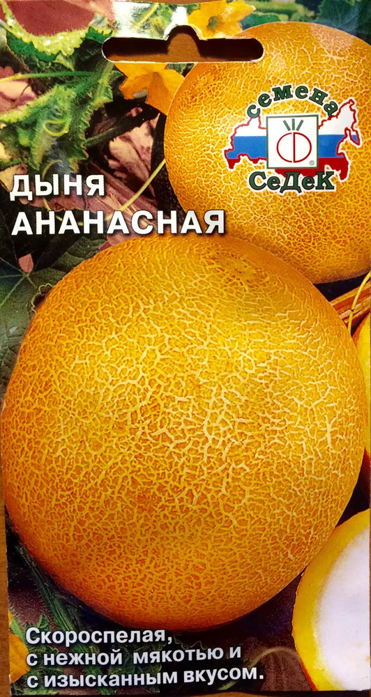 06256a5c88a1950afe68da3bda8d85ee