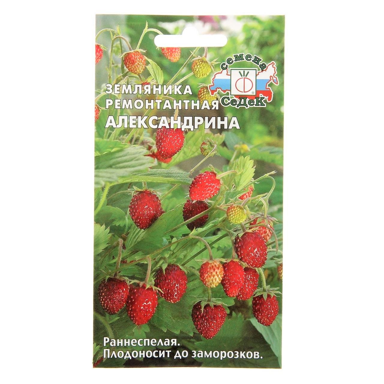 583551689_w0_h0_semena_zemlyan__04_g_sedek